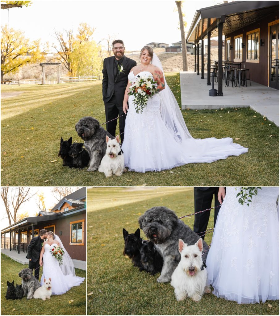 Fall Camelot Ranch Wedding Bride and Groom and Dogs