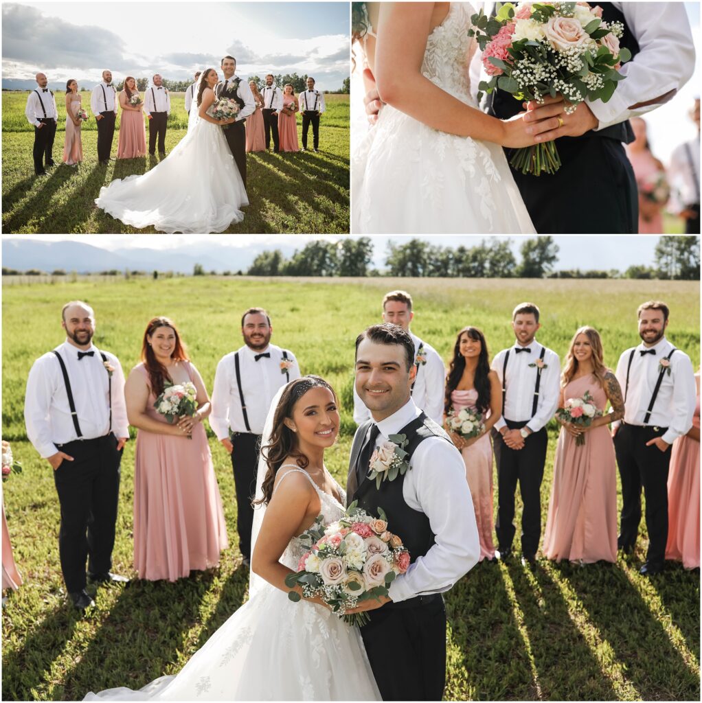 Roberts Wedding Bride and Groom with wedding party in a field