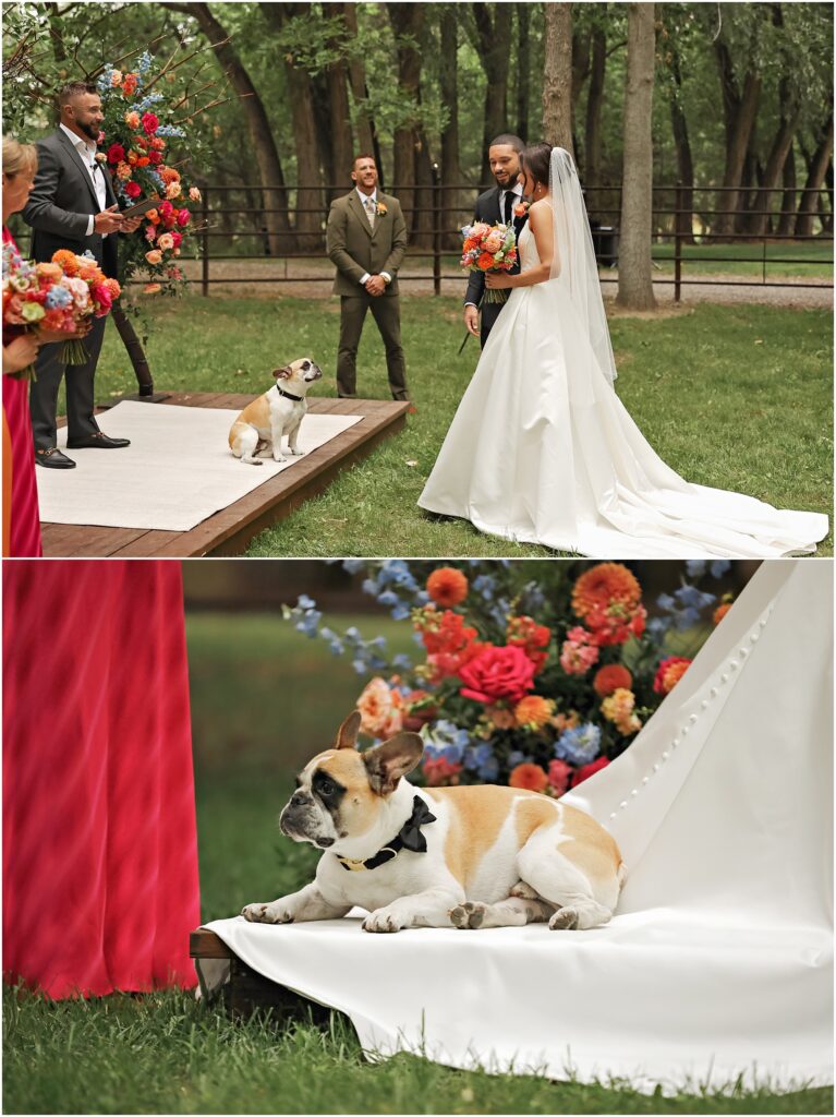 Classy Front Yard Wedding Ceremony