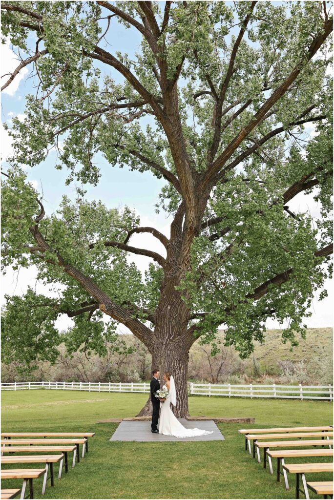 Elegant Montana Wedding at Camelot Ranch Bride and Groom Photo under a big tree
