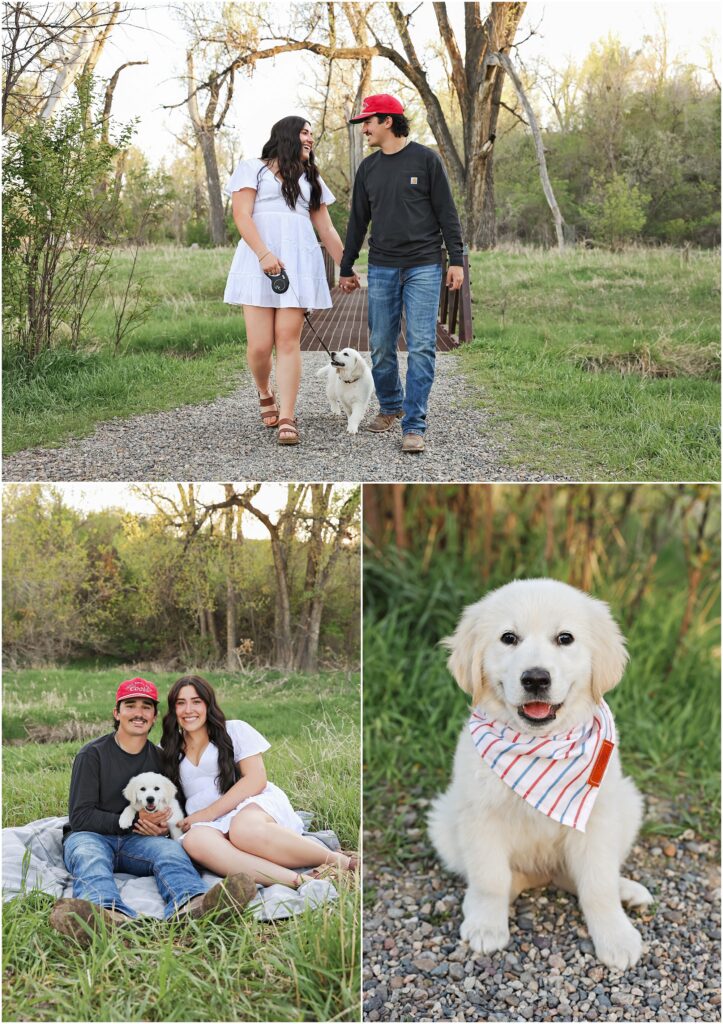 Billings Dog Photographer Golden Retriever Puppy