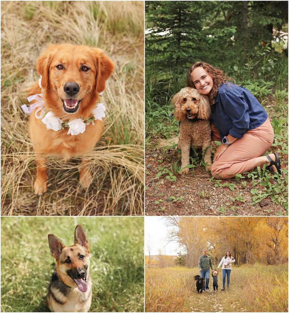 Billings Dog Photographer Families with their Pets